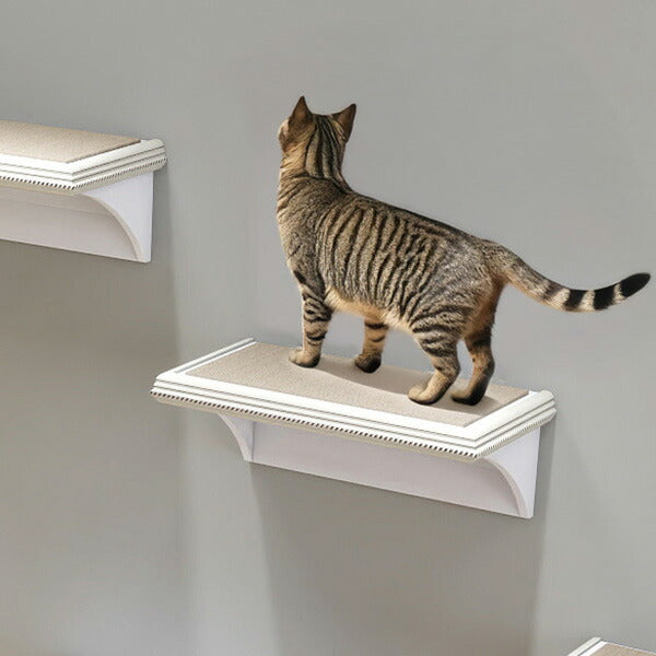 キャットウォーク 爪とぎ キャットステップ | arneco Nail Walk F-007