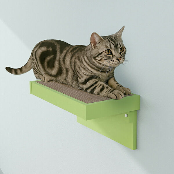 キャットウォーク 爪とぎ 賃貸