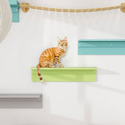 キャットステップ キャットウォーク