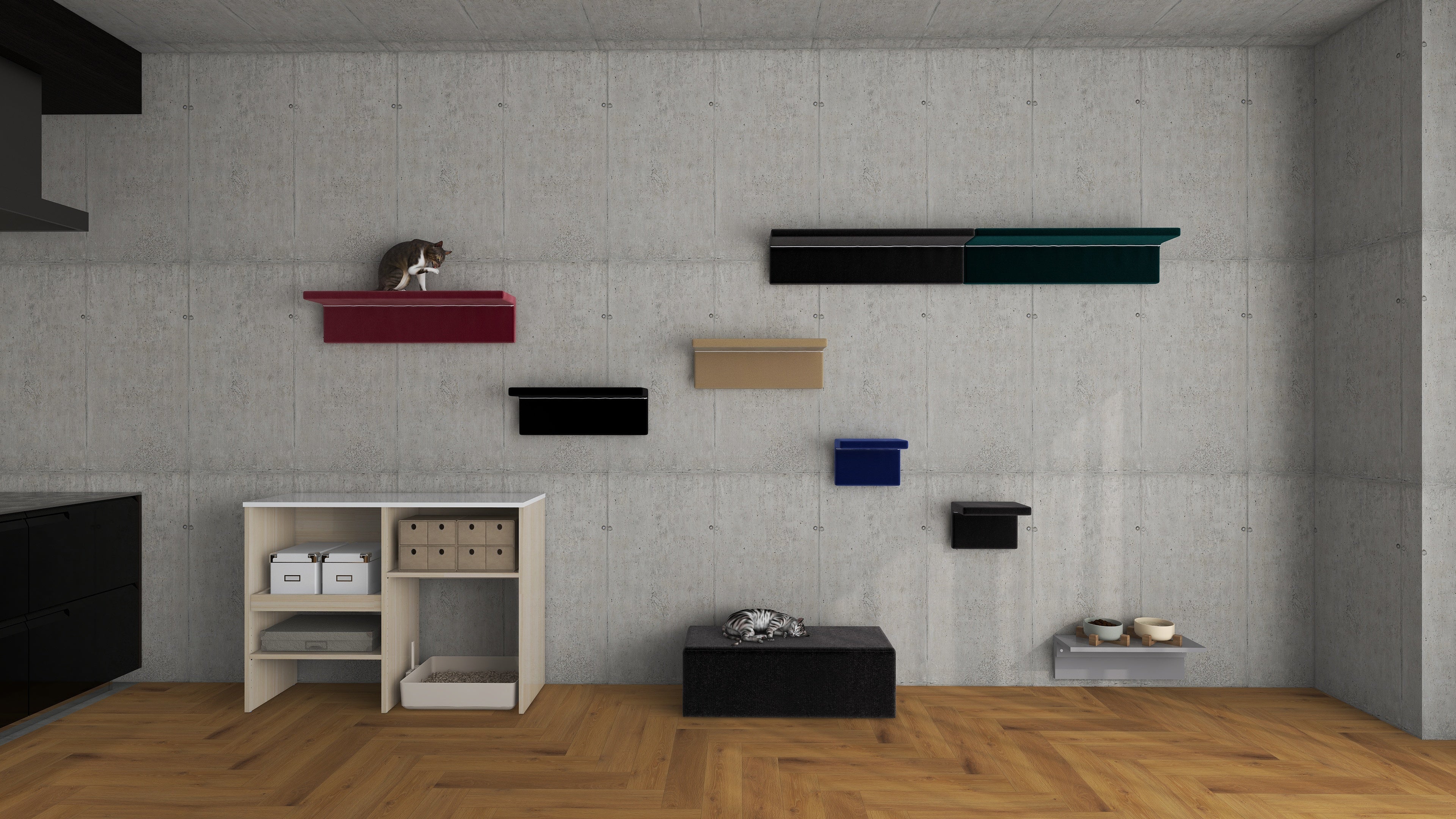 キャットウォーク