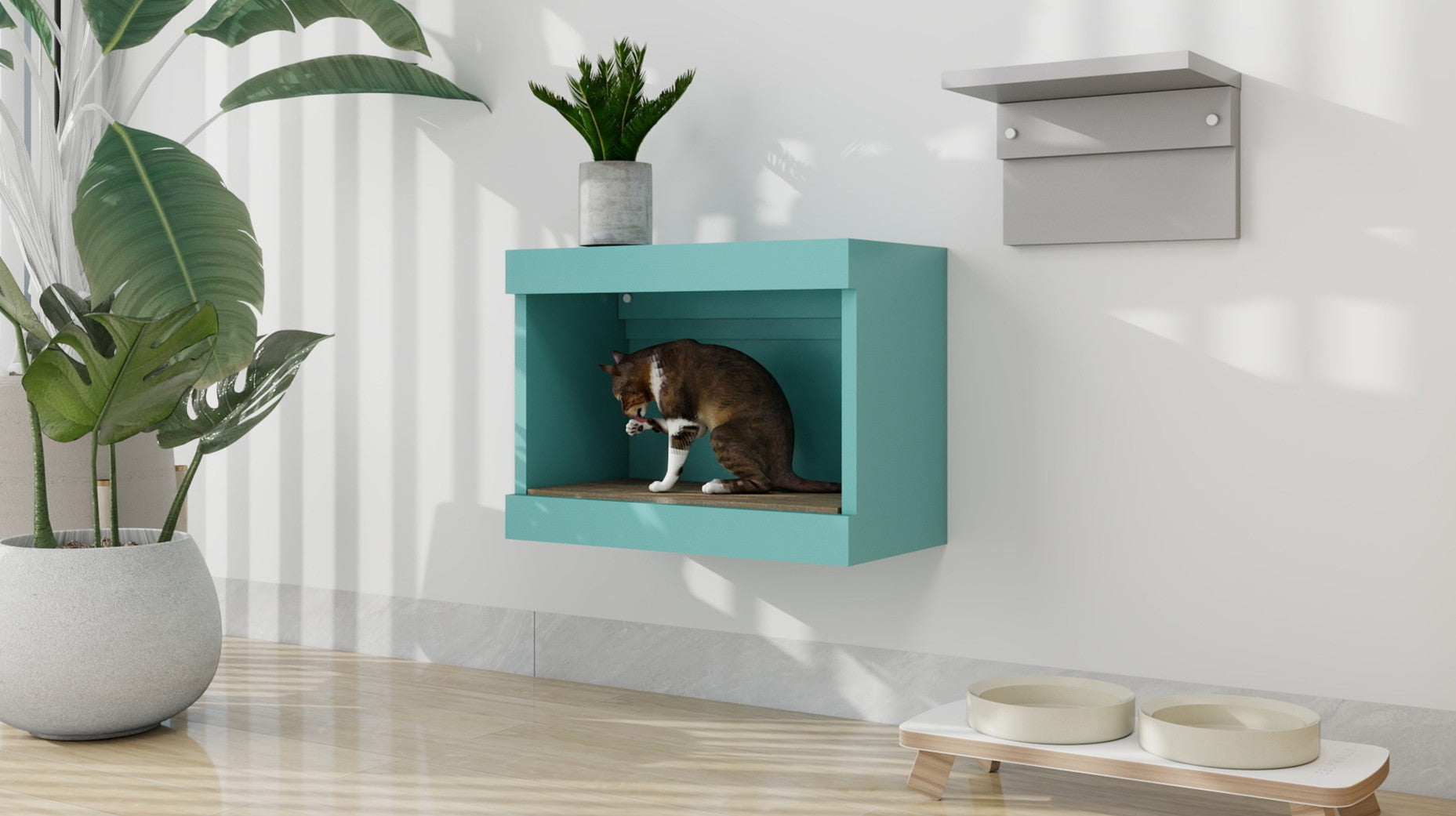 キャットハウス