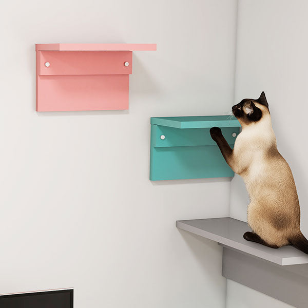 キャットウォーク キャットステップ