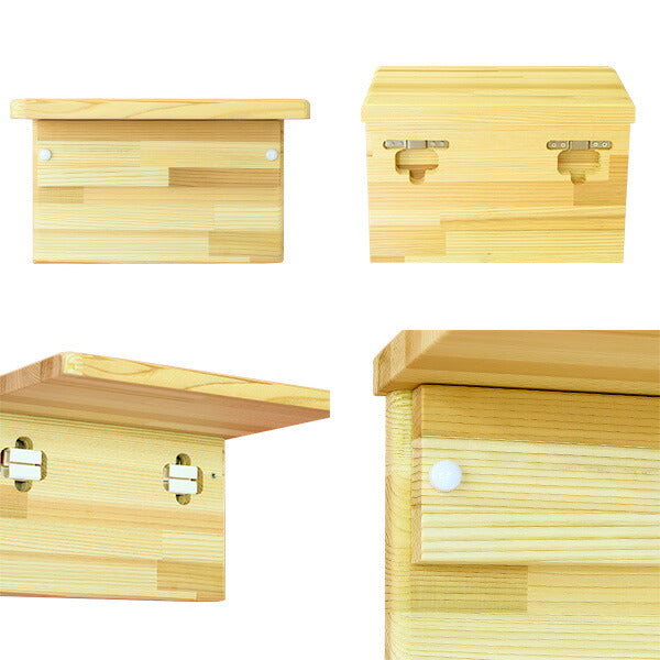 キャットウォーク 杉